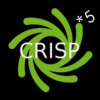 CRISP-5er 40min Indoor Rowing online Klasse